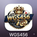 WGS456 Game